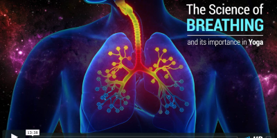 Watch The Science of Breathing